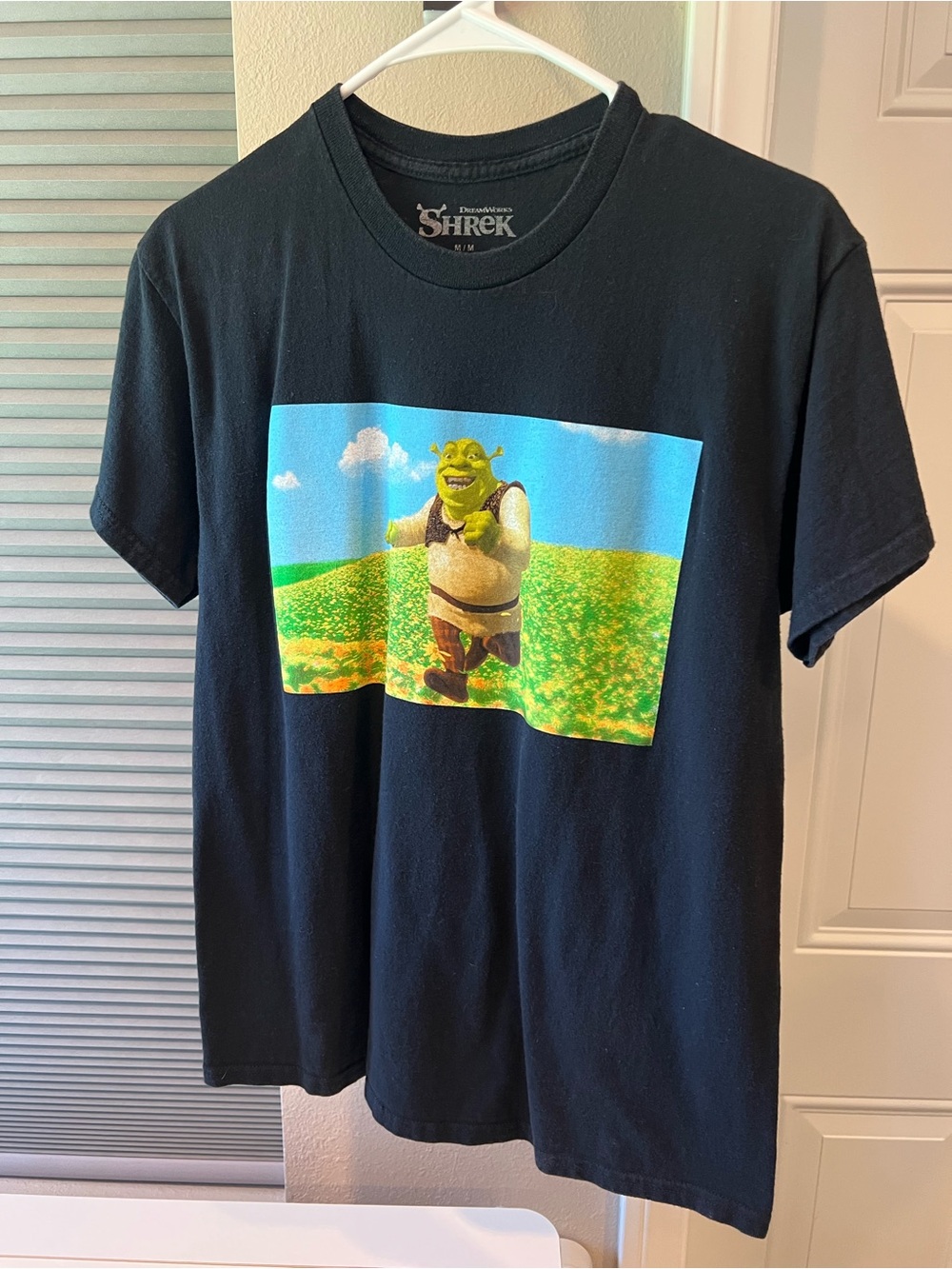 DreamWorks Shrek Tee - Black with Green and Yellow Print